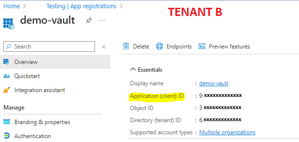 Home > 
Testing App registrations > 
TENANT B 
demo-vault 
Overview 
Quickstart 
Integration assistant 
Manage 
Branding & properties 
Authentication 
Delete Endpoints 
Essentials 
Display name 
Application (client) ID 
Object ID 
Directory (tenant) ID 
Supported account types 
Preview features 
demo-vault 
Multiple 